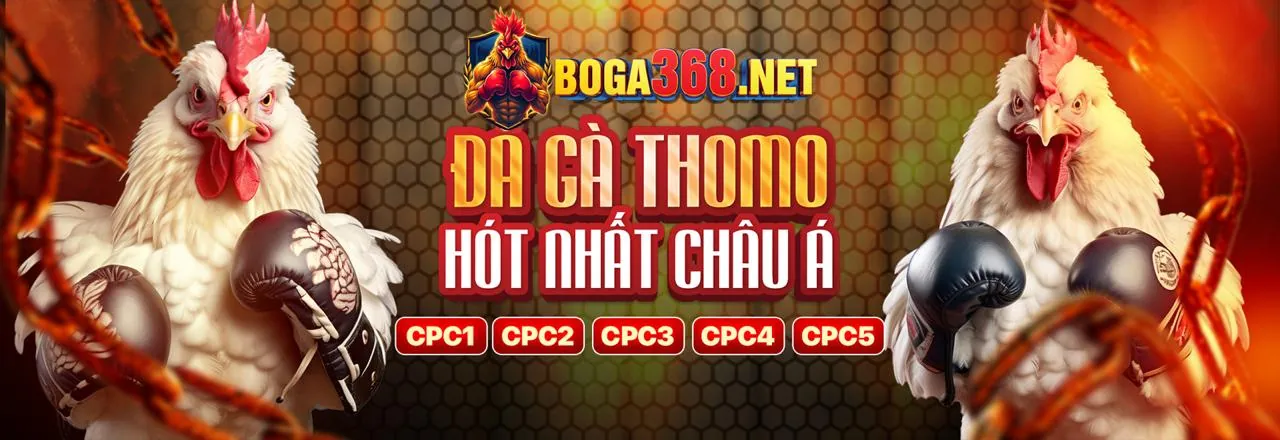 Hướng Dẫn Cá Cược Thể Thao S666 Cho Người Mới Bắt Đầu