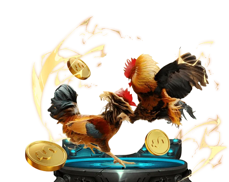 Cá cược bóng rổ S666